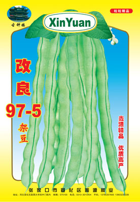 改良97-5