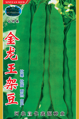 金龙王