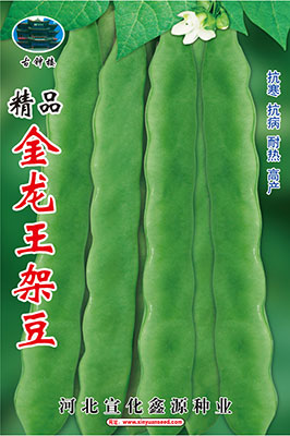 精品金龙王
