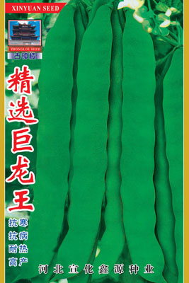 精选巨龙王